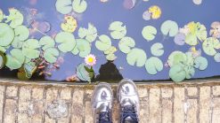 flor de lótus em uma lagoa e menina de botas