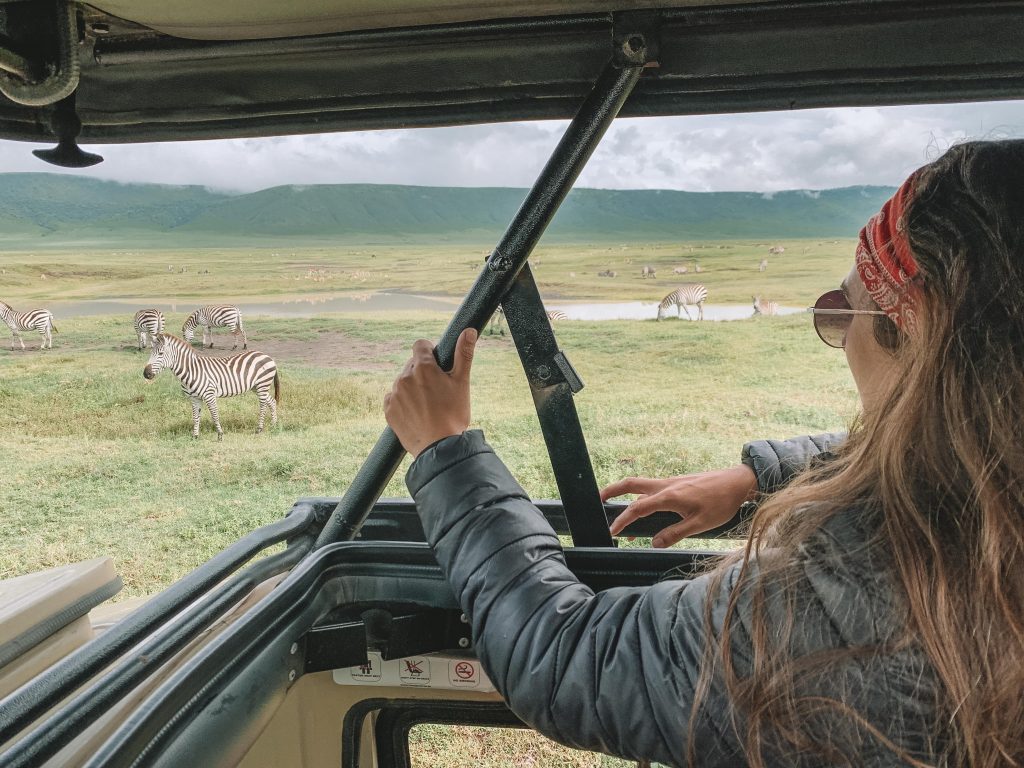 safari no serengeti