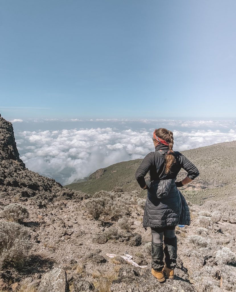 Kilimanjaro - machame route