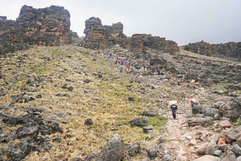 Lava Tower no Kilimanjaro