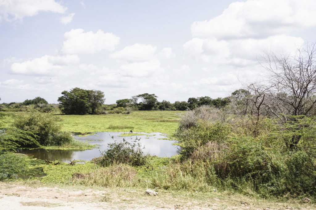 pântano em estrada quênia