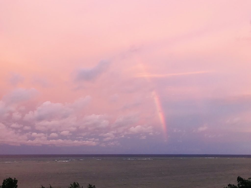 rainbow in mombasa