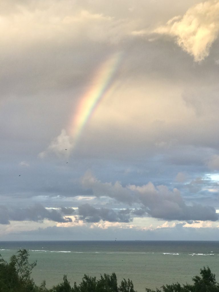 rainbow in mombasa-journey of the heroine